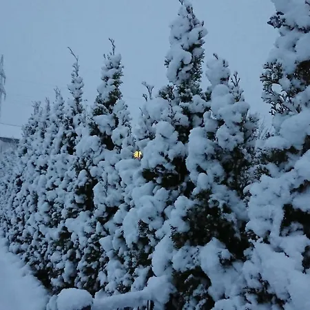 Pfister Apartmán Aschau Im Zillertal